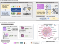 A vision–language foundation model for precision oncology
