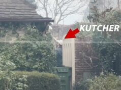 Ashton Kutcher Tries to Protect Friend’s Home From Wildfire With Garden Hose