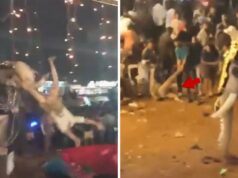 Enraged Elephant Attacks Crowd, Swings Man Like Rag Doll at Festival in India