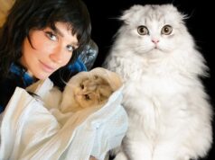Kesha Announces Death of Beloved Cat Carl